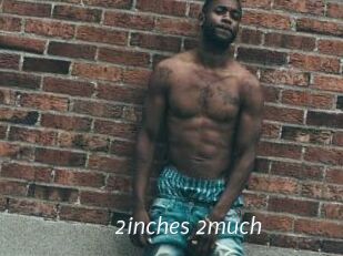 2inches_2much