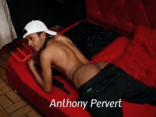 Anthony_Pervert