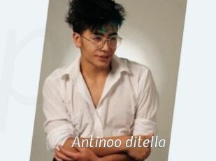 Antinoo_ditella