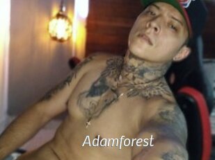 Adamforest