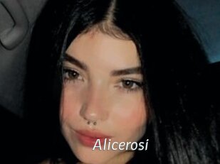 Alicerosi