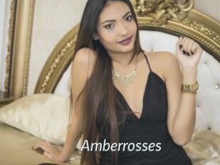 Amberrosses