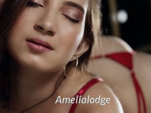 Amelialodge