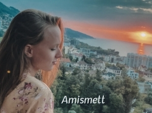 Amismett