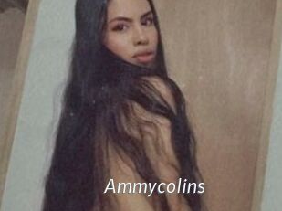 Ammycolins