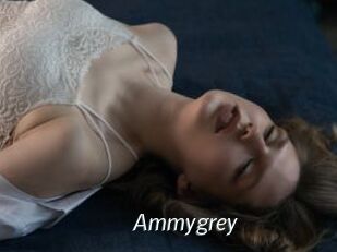 Ammygrey