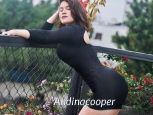 Andinacooper