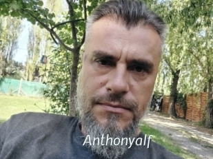 Anthonyalf