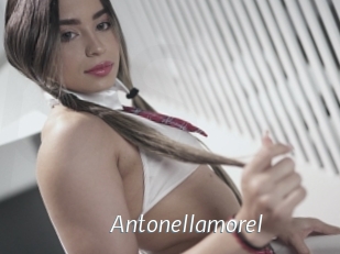 Antonellamorel