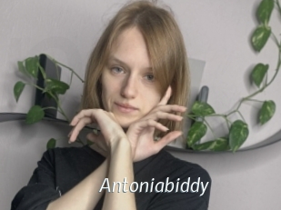 Antoniabiddy