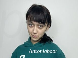 Antoniaboor