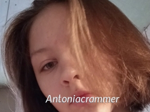 Antoniacrammer