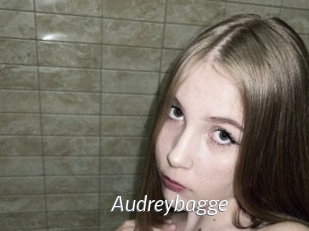 Audreybagge