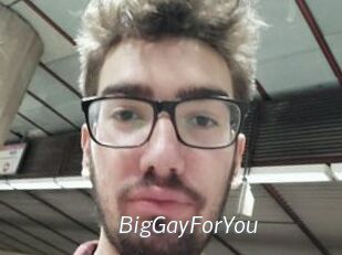 BigGayForYou