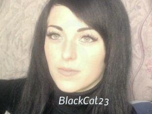 BlackCat23