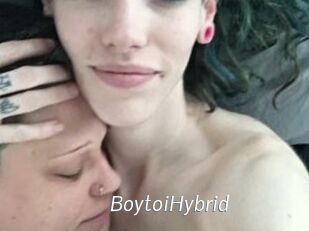 BoytoiHybrid