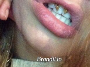 BrandiHo