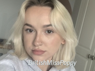 BritishMissPoppy