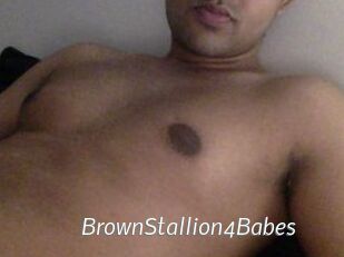 BrownStallion4Babes