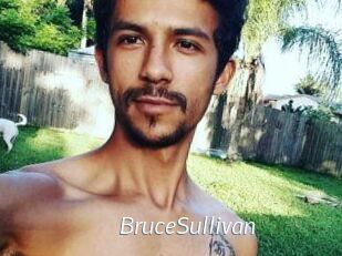 Bruce_Sullivan