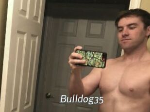 Bulldog35