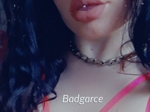 Badgarce