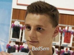 BedSem