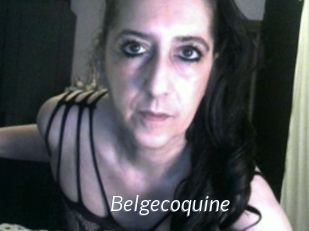 Belgecoquine