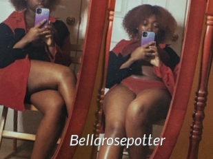 Bellarosepotter