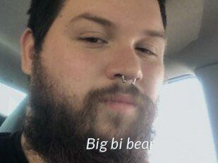 Big_bi_bear