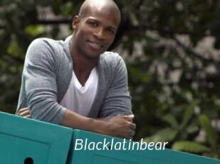 Blacklatinbear