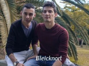 Bleicknort