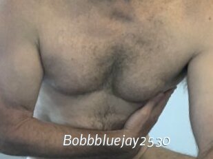 Bobbbluejay2530