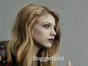 Boggartbird