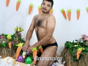 Brunosains