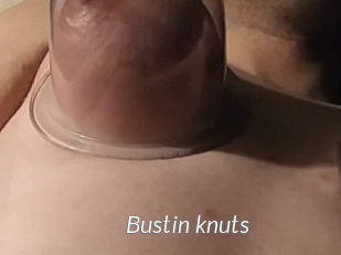 Bustin_knuts