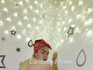 Caribean_Flower