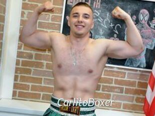 CarlitoBoxer