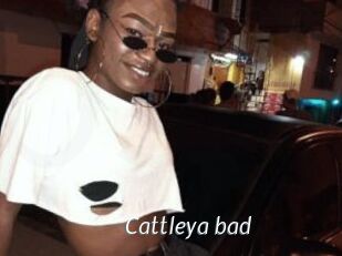 Cattleya_bad