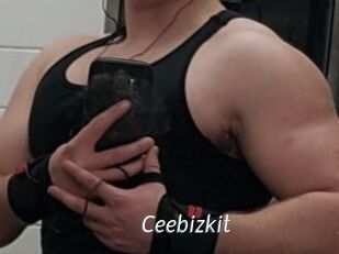 Ceebizkit