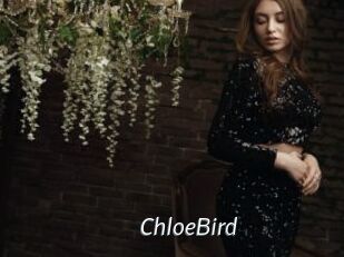 ChloeBird