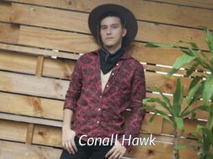 Conall_Hawk