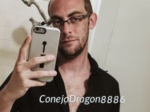 ConejoDragon8886