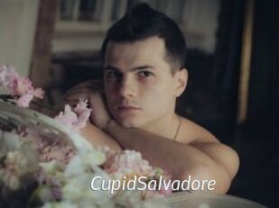 CupidSalvadore