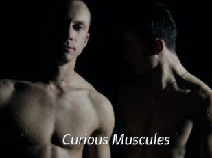 Curious_Muscules