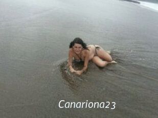 Canariona23