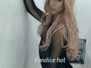 Candice_hot