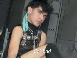 Cat_bad