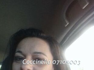 Coccinella-07105003