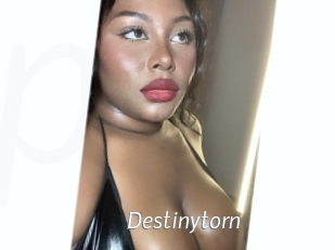 Destinytorn